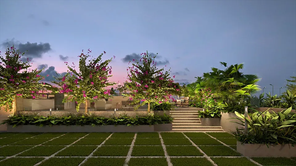 Party Lawn